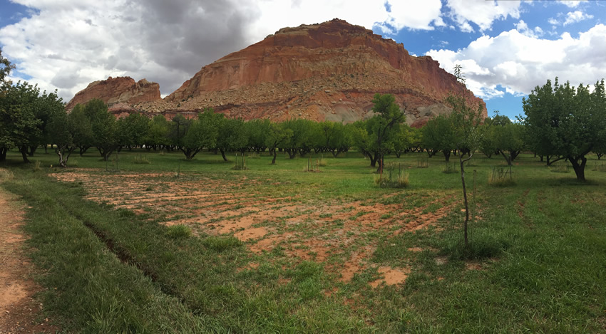 Capitol Reef National Park